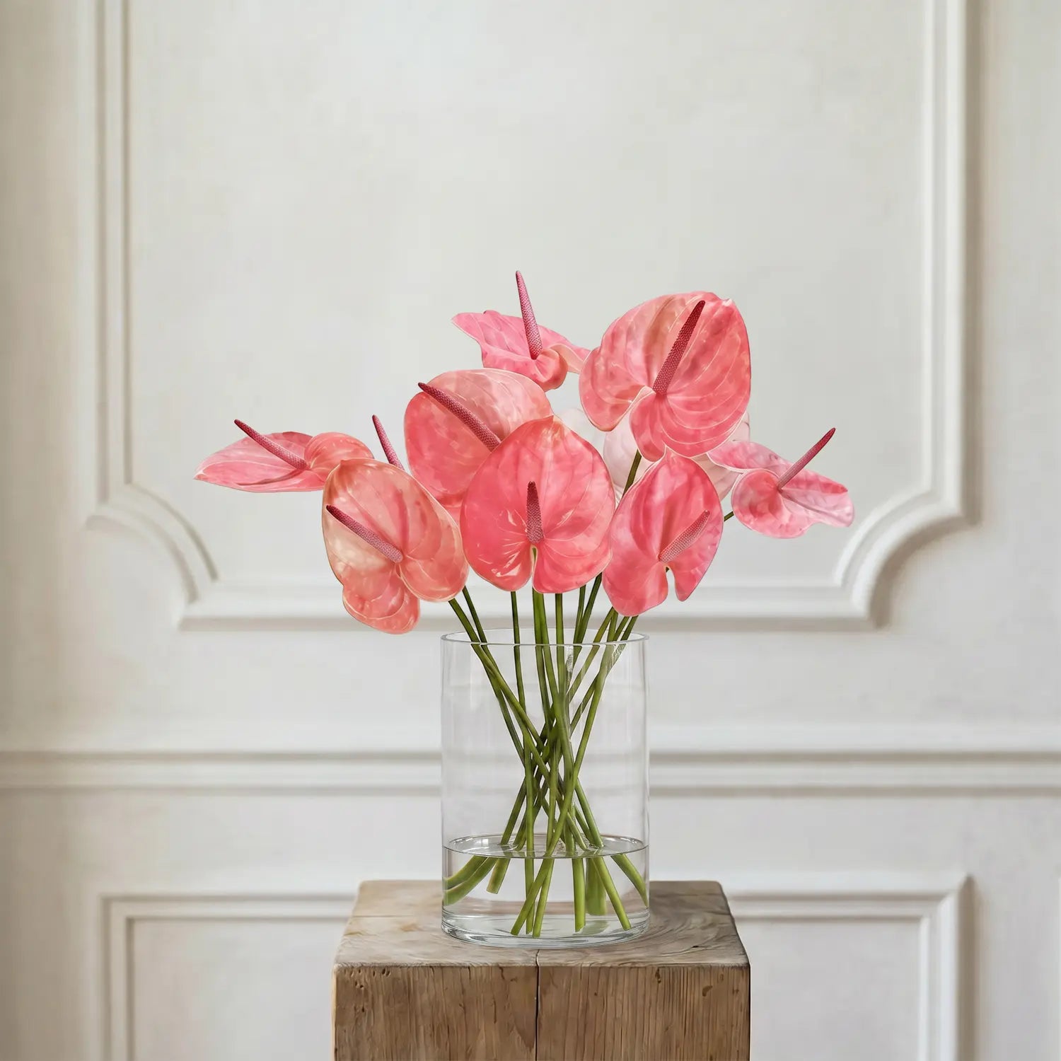 Anthurien Rosa – Schnittblumen