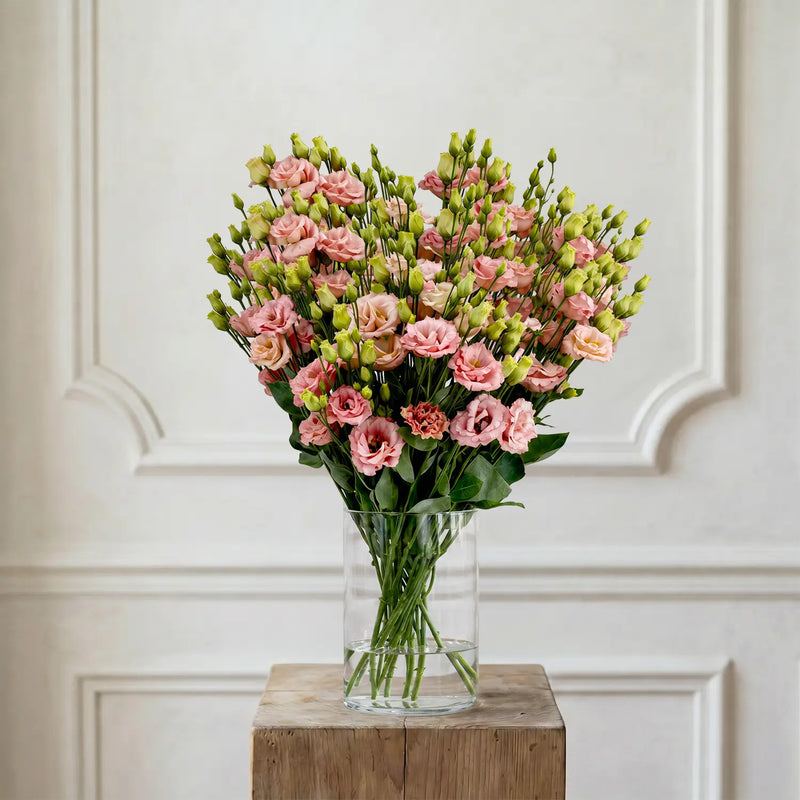 Lisianthus Pfirsich – Schnittblumen