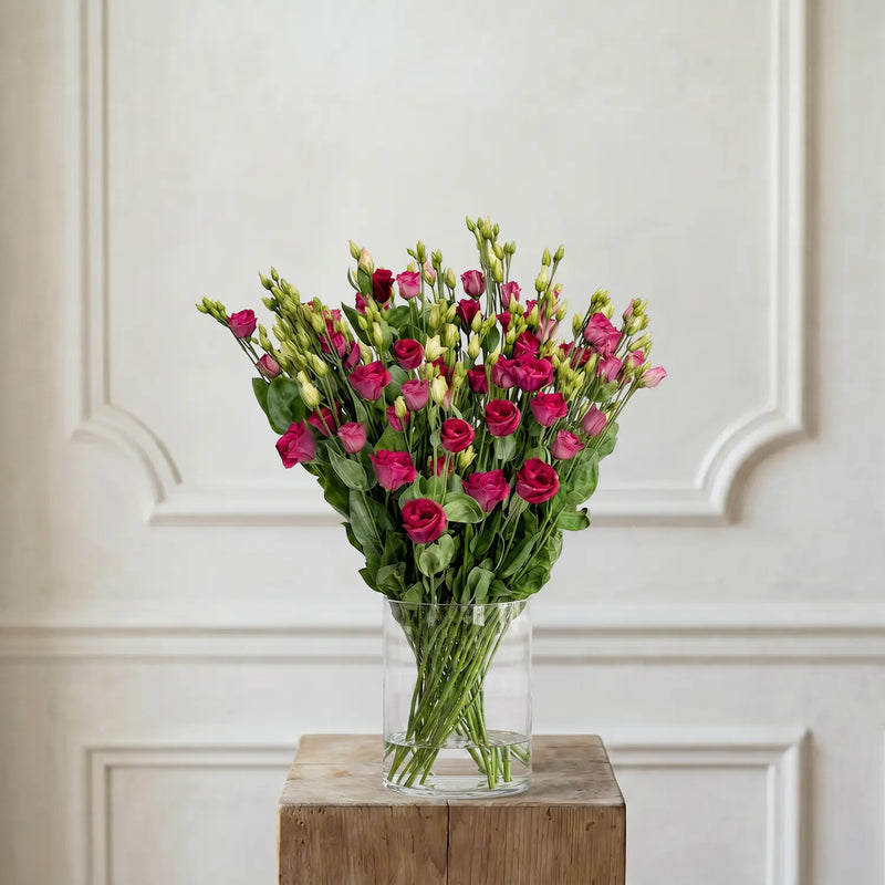 Lisianthus Berry – Schnittblumen