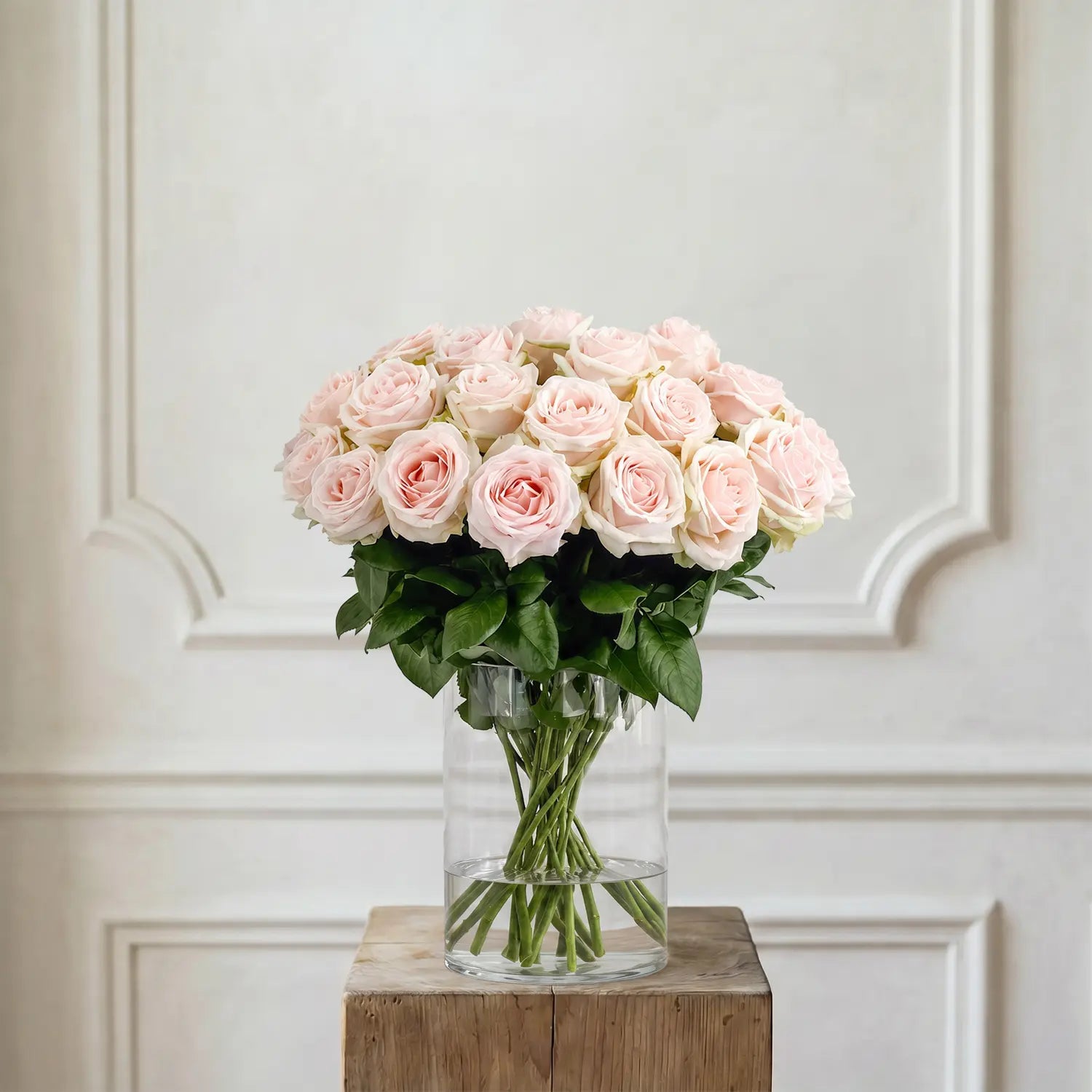 Rosen Zartrosa – Schnittblumen