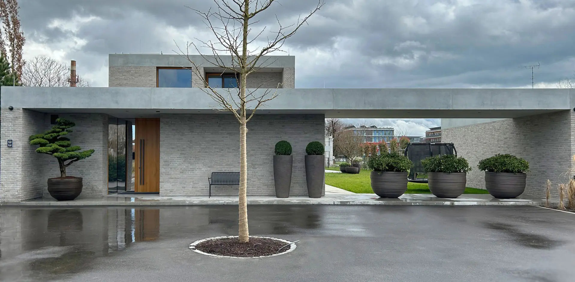 Projektumsetzung in Hard – Pflanzgefäße von DADA stilvoll vor dem Haus arrangiert