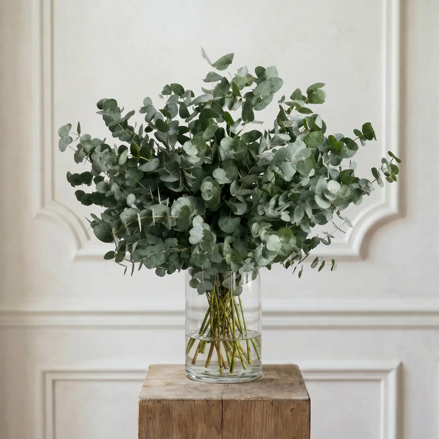 Eukalyptus – Schnittblumen