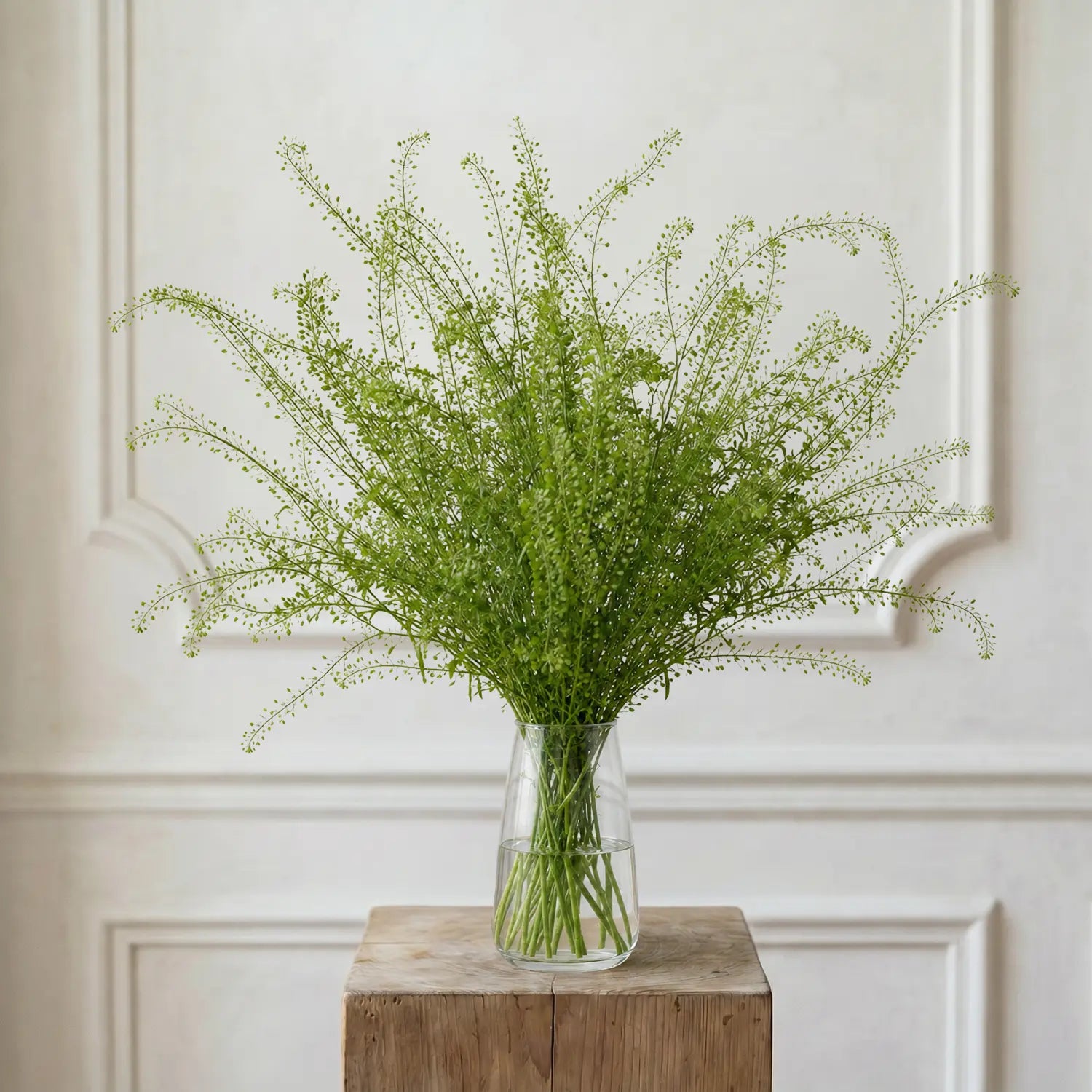 Greenbell – Schnittblumen