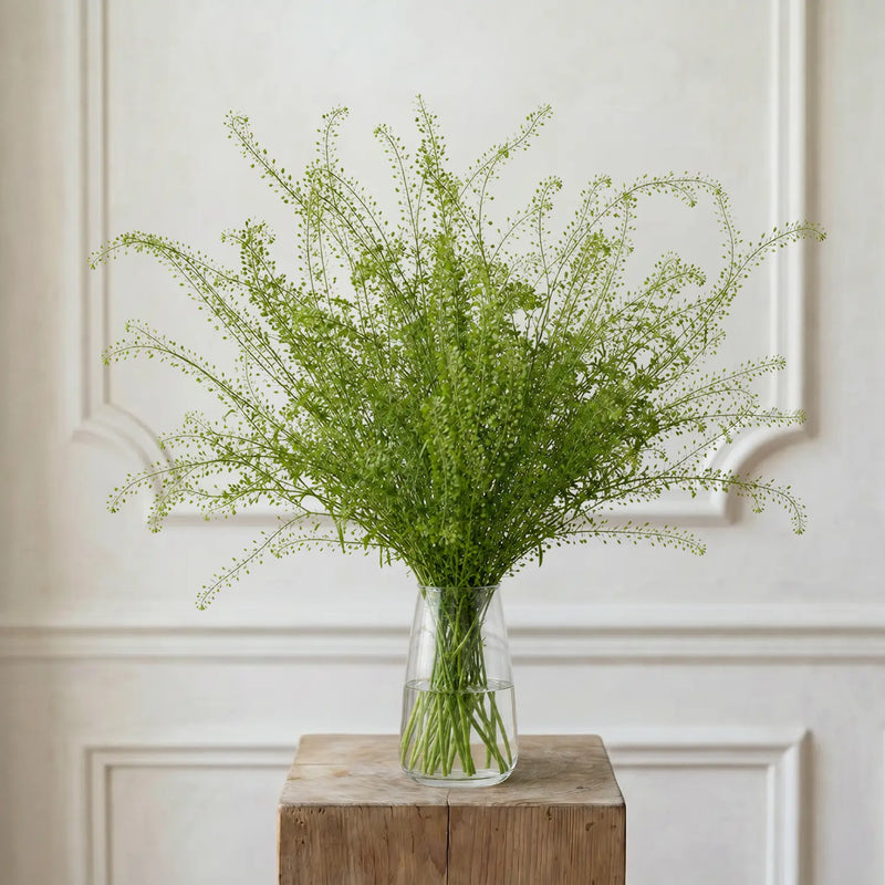Greenbell – Schnittblumen