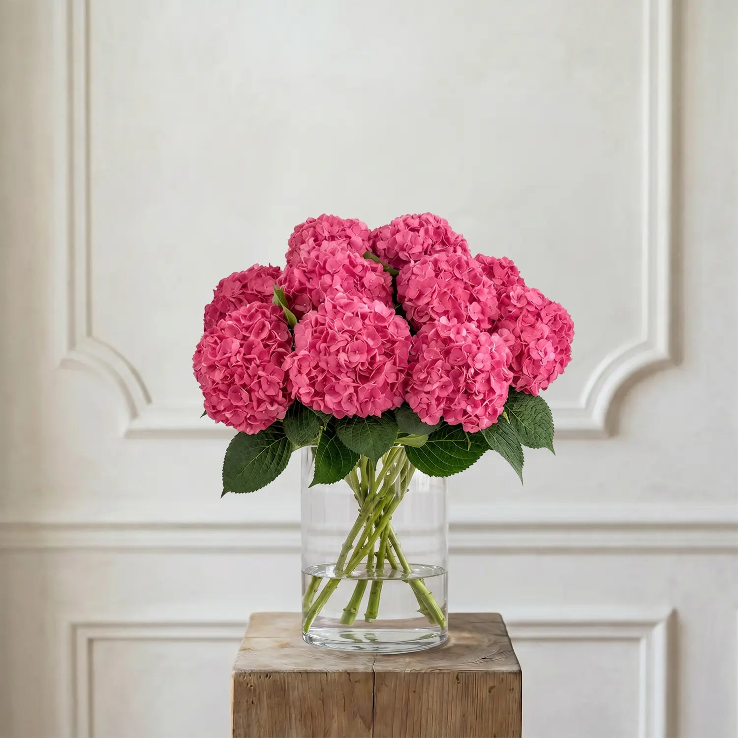 Hortensien Pink – Schnittblumen