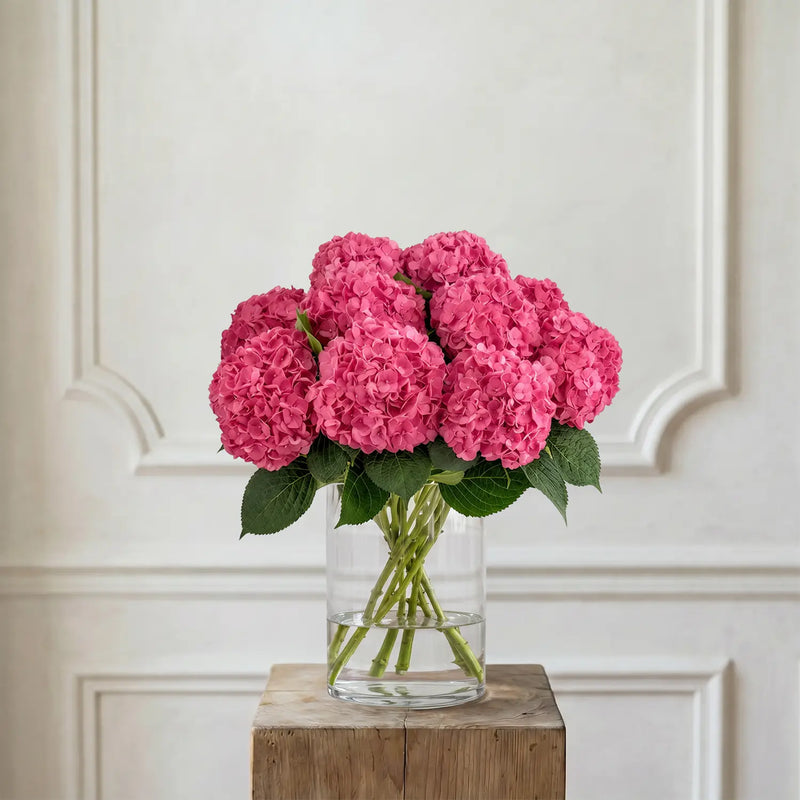 Hortensien Pink – Schnittblumen