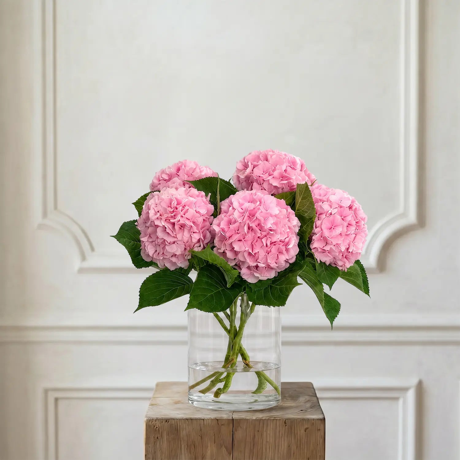 Hortensien Rosa – Schnittblumen