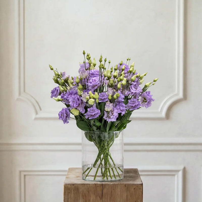 Lisianthus Lila – Schnittblumen