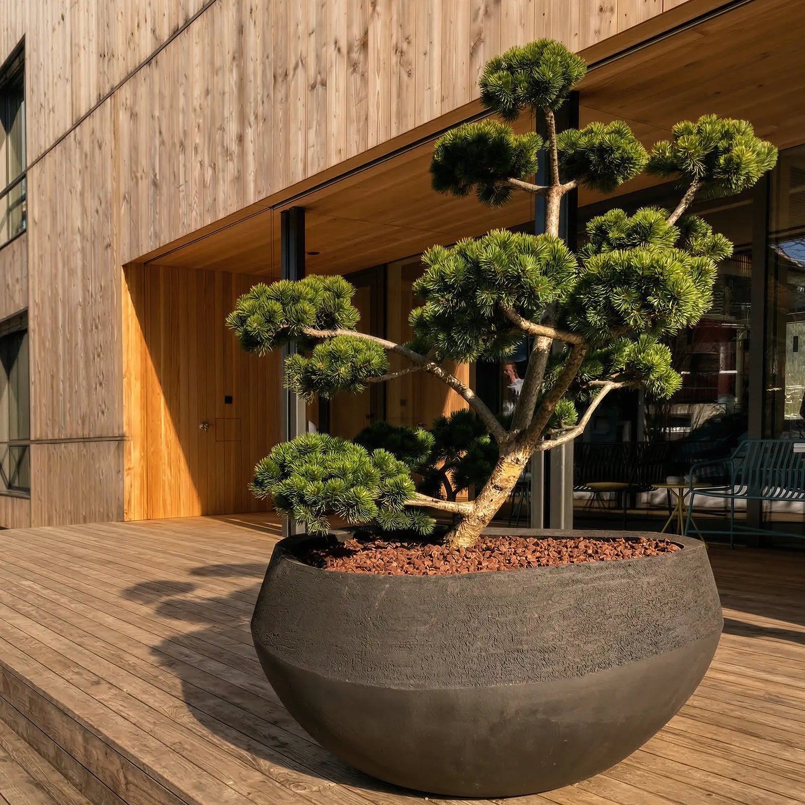 Indoor & Outdoor Gestaltung 