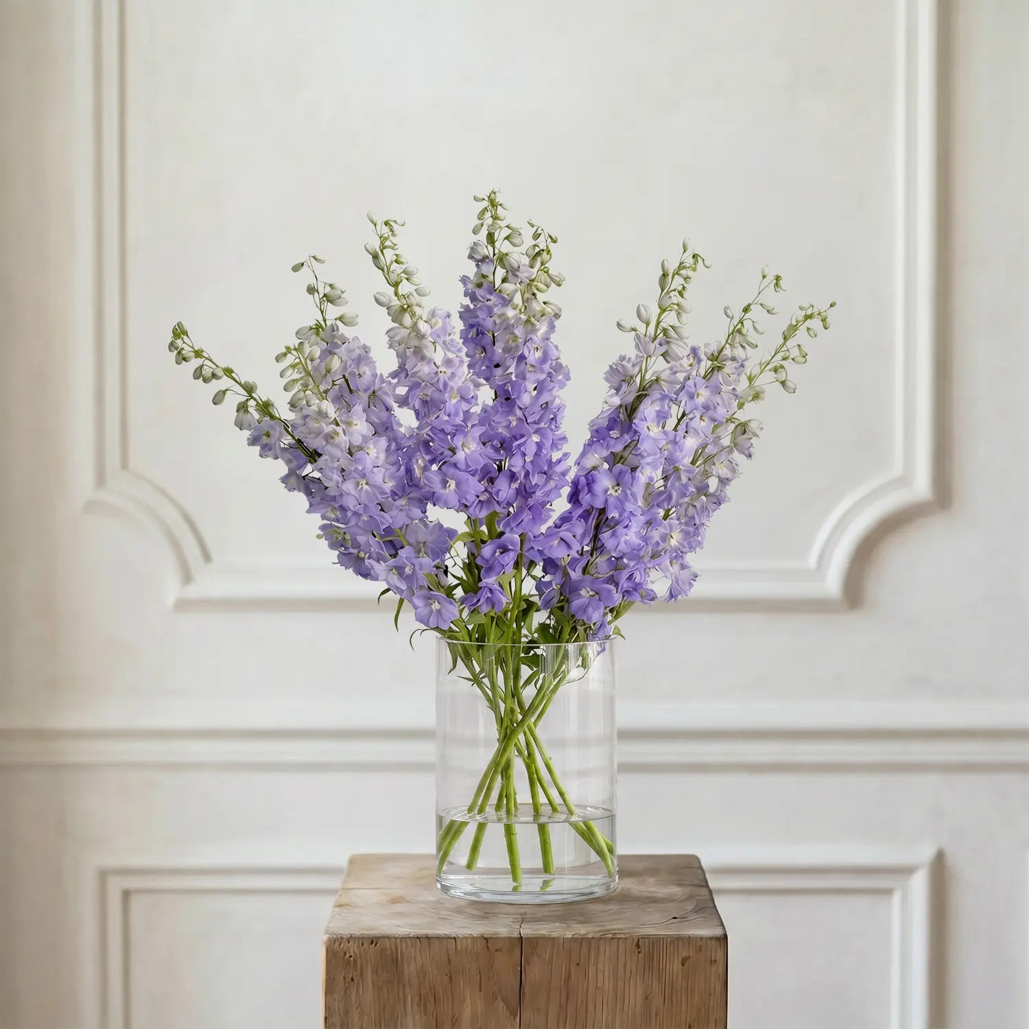 Rittersporn Lavendel – Schnittblumen