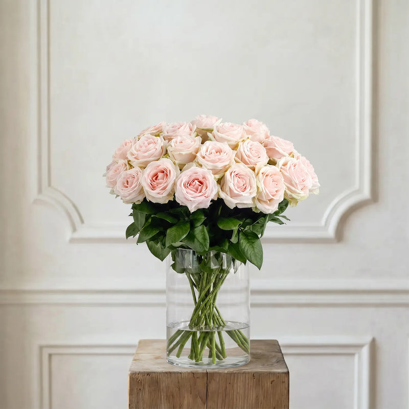 Rosen Zartrosa – Schnittblumen