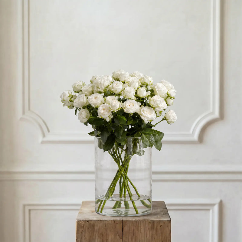 Spray-Rosen Weiß – Schnittblumen