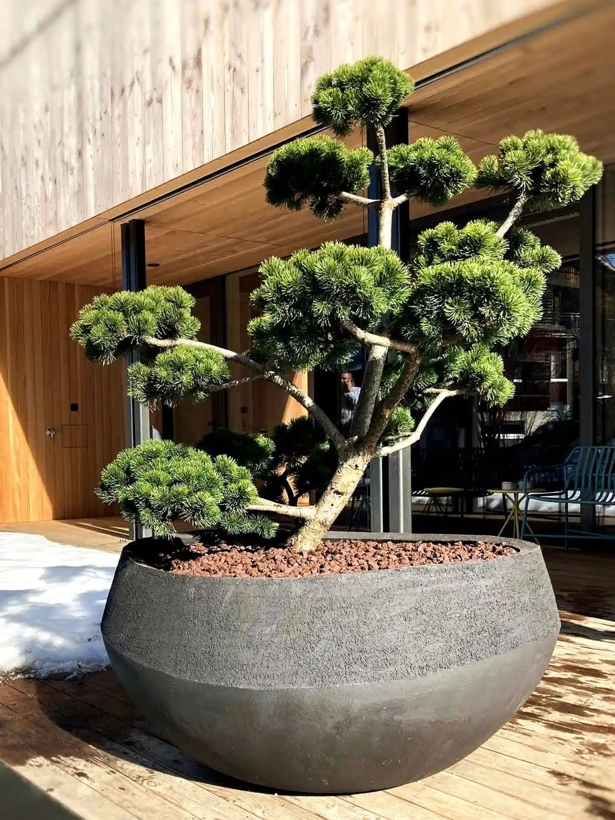 Indoor & Outdoor Gestaltung 